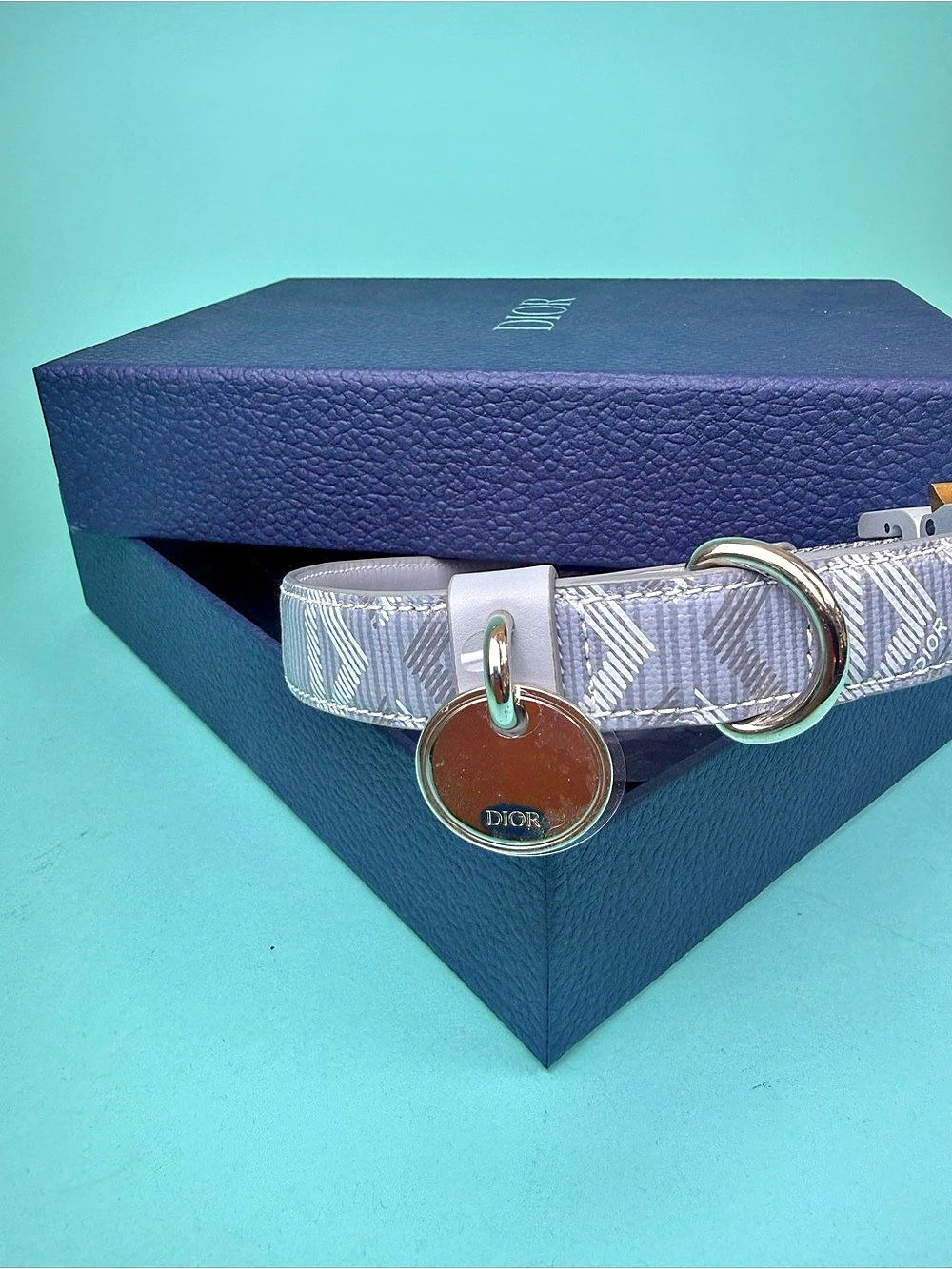 Christian Dior Oblique Jacquard Pet Collar Belt in Gray & White